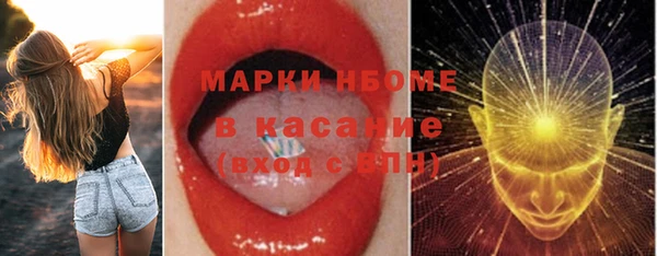 твердый Арсеньев