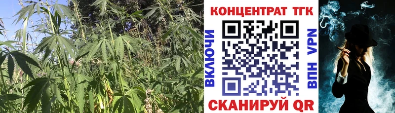 ТГК гашишное масло  ссылка на мегу ссылка  Сургут  где можно купить  