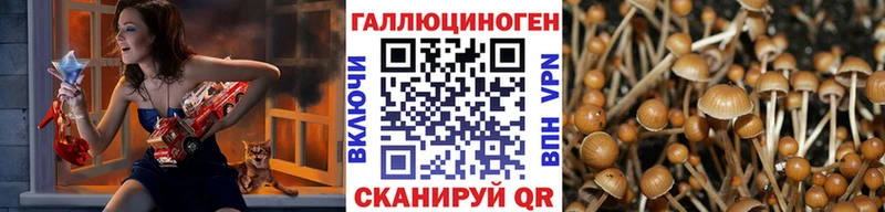 Псилоцибиновые грибы прущие грибы  Сургут 